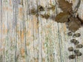 Old wood with autumnal decoration to use as background