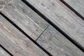 old wood background with diagonal planks