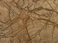 Old wood background, wood grain tiles