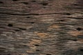 Old wood background from old home. Corrosion of base or ceiling in interior of home. Corrosion of wooden background and empty area Royalty Free Stock Photo