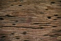 Old wood background from old home. Corrosion of base or ceiling in interior of home. Corrosion of wooden background and empty area Royalty Free Stock Photo