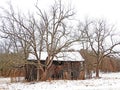 Old unused wood barn and trees in FingerLakes country during late winter Royalty Free Stock Photo