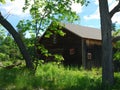 Old wood barn set between two trees Royalty Free Stock Photo