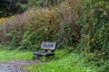 An old wood bench on the trail at Prairie Creek Redwoods State Park, California, USA