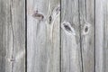 Old wood board in macro Royalty Free Stock Photo