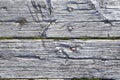 Old wood board in macro Royalty Free Stock Photo