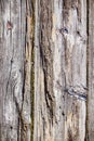 Old wood board in macro Royalty Free Stock Photo