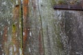 Old wood boards with old nails