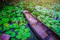 Old wood boat and red lotus flower in Thailand ,Boats float on t Royalty Free Stock Photo