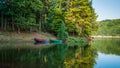 Old wood boats docked. Forest and boats reflecting on water