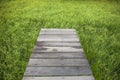 Old wood bridge on rice field. Royalty Free Stock Photo