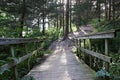 Old wood bridge on wooded trail in Omaha, NE