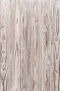 Old wood brown, white and gray burned planks of pine tree. texture and background. Royalty Free Stock Photo