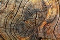 Old wood cut texture background Royalty Free Stock Photo