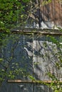 Old wood door castle ruin Royalty Free Stock Photo