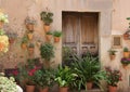 Old wood door and many potted plants on the medieval street Royalty Free Stock Photo