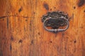 Old wood door with rusty handle Royalty Free Stock Photo