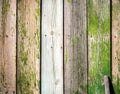 Old wood fence board painted texture vintage background with knots