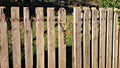 Old wood fence details Royalty Free Stock Photo