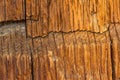 Old Wood Flooring Texture Royalty Free Stock Photo