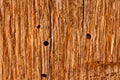 Old Wood Flooring Texture Royalty Free Stock Photo