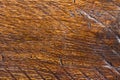 Old Wood Flooring Texture Royalty Free Stock Photo