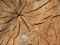 Old Wood Grain Cracks Texture Royalty Free Stock Photo