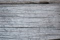 Old wood grey wall texture, textured wooden gray surface background, dark dry tree board. Royalty Free Stock Photo