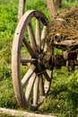 old wood hay-wagon coach wheel in grass Royalty Free Stock Photo