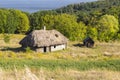 Old wood house with thatched roof in summer Sunny day, ancient building Royalty Free Stock Photo