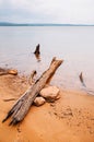 Old wood log stump on sandy shore of river or dam Royalty Free Stock Photo