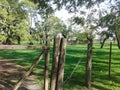 Old wood logs gate in pampeanas lands