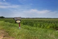 An old wood mailbox in front of a cornfield in a rural area of the Mississippi State