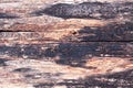 Old wood pattern and surface