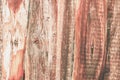 Old wood plank background Royalty Free Stock Photo