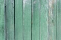 Old wood plank green texture background.