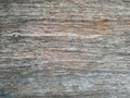 Old wood and plank wall texture for background