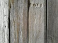 Old wood and plank wall texture for background Royalty Free Stock Photo