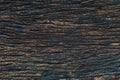 Old wood, real nature high detail of dark wooden panel texture pattern for background
