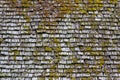 Old wood roof surface with green moss on it background texture Royalty Free Stock Photo