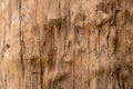 Old wood with rough surface background Royalty Free Stock Photo