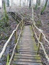 Old Wood stairs outside forest day autumn Royalty Free Stock Photo