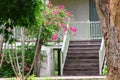 Old wood stairs to vintage home with pink flower Royalty Free Stock Photo