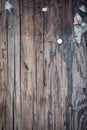 Old wood with staples Royalty Free Stock Photo