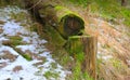 Old wood and stump in spring forest Royalty Free Stock Photo