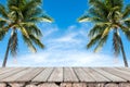 Old wood table top with coconut trees and blue sky background. Royalty Free Stock Photo