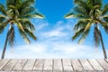 Old wood table top with coconut trees and blue sky background. Royalty Free Stock Photo