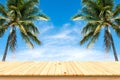 Old wood table top with coconut trees and blue sky background. Royalty Free Stock Photo