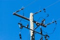 Old wood telephone pole with metal bar and insulators. Royalty Free Stock Photo