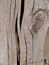 Old wood texture Royalty Free Stock Photo